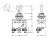 Inverseur Bipolaire  Levier On-on 10A/250V - Modle conomique