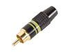 Fiche RCA Male - Dor�e - Capot Noir - Bague Jaune