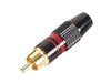 Fiche RCA Male - Dor�e - Capot Noir - Bague Rouge