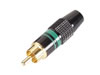Fiche RCA Male - Dor�e - Capot Noir - Bague Verte